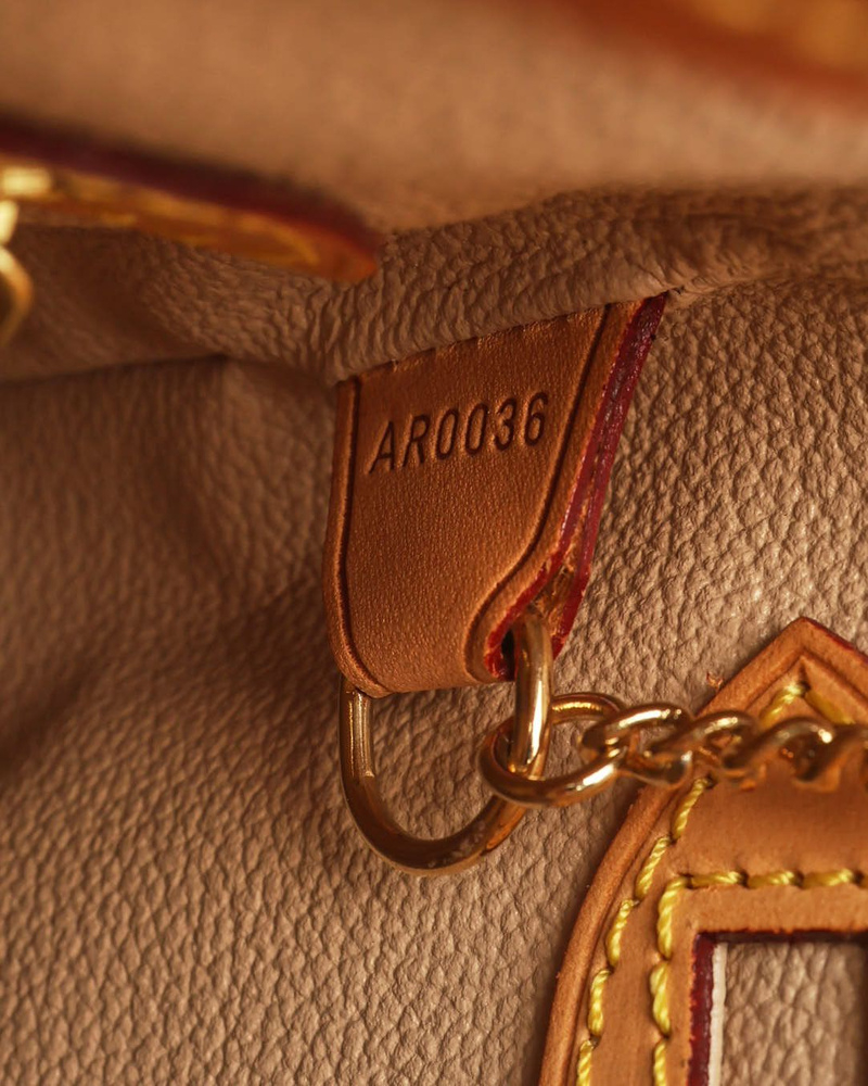 Louis Vuitton Monogram Bucket PM Bag