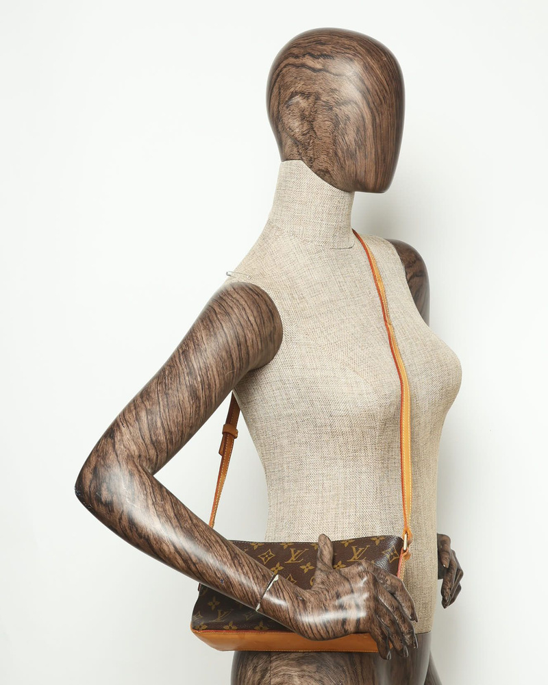 Louis Vuitton Monogram Trotteur Crossbody Bag