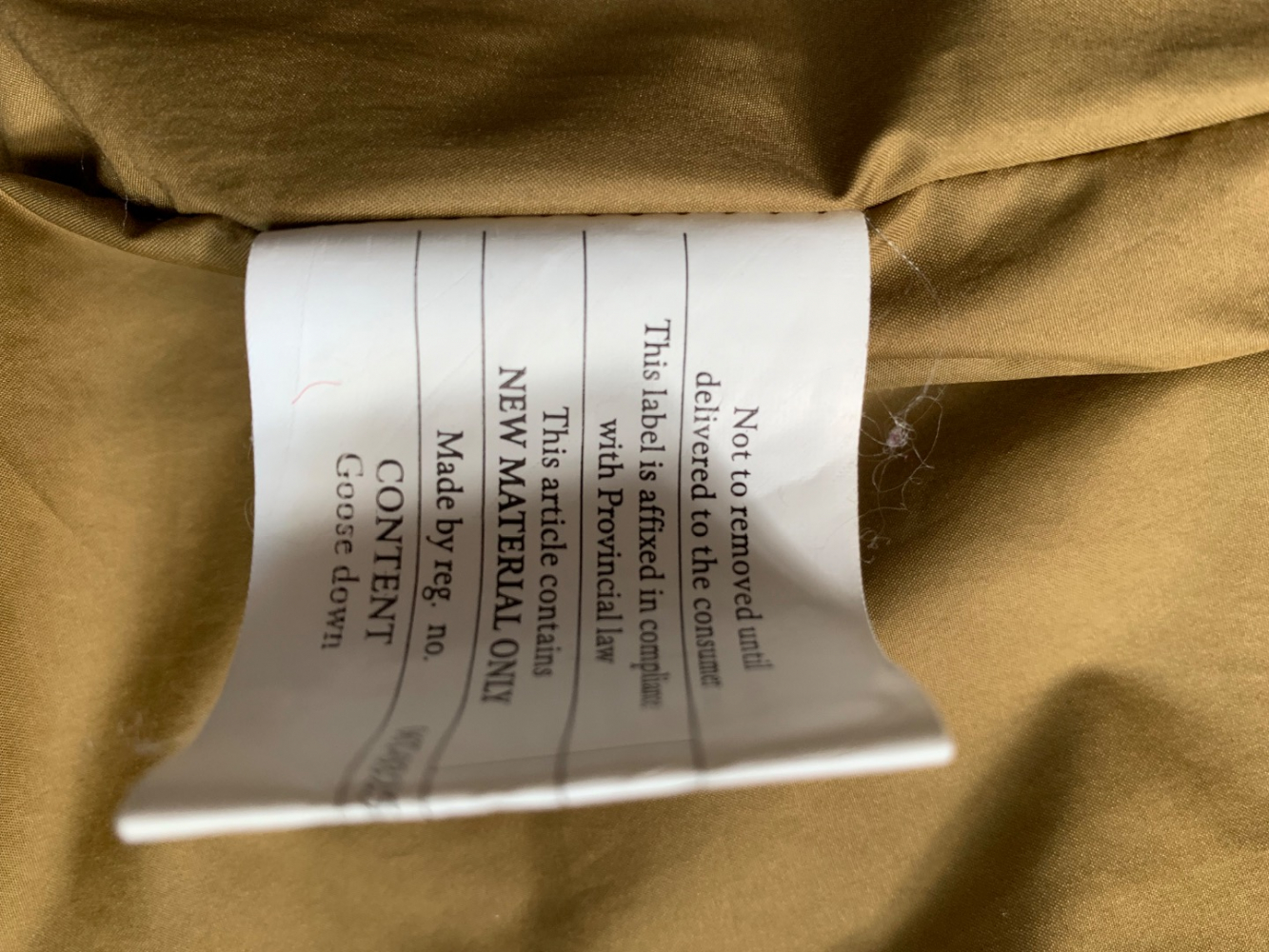 Patagonia NEW DAUNEN WESTE