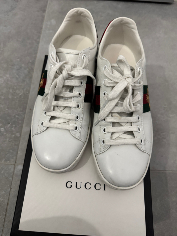Gucci Ace