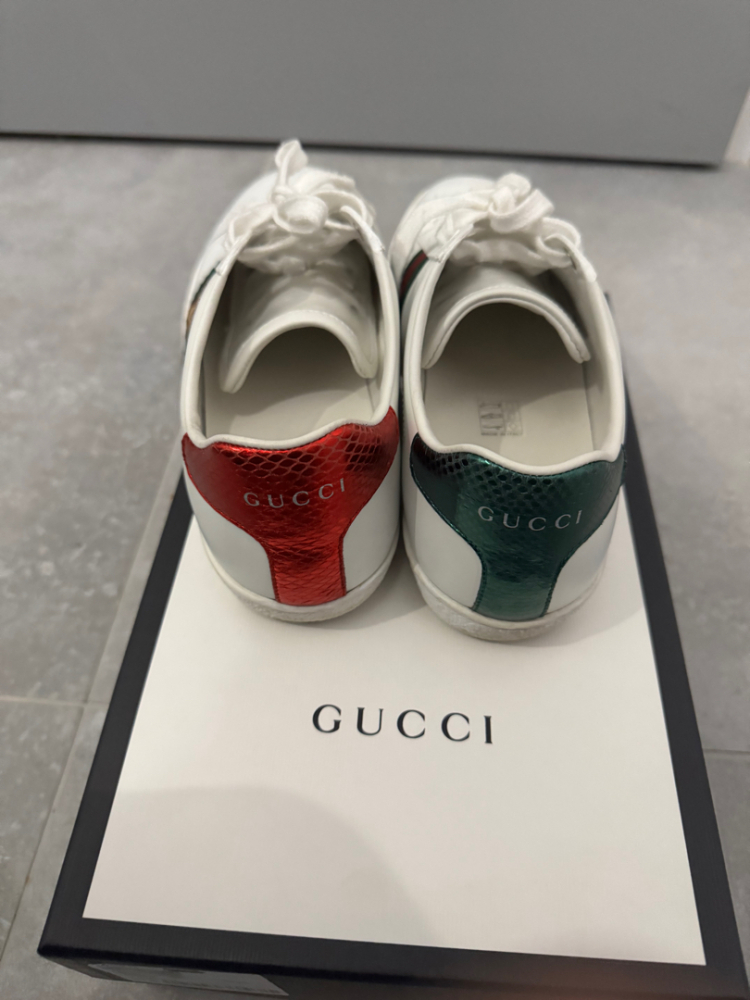 Gucci Ace
