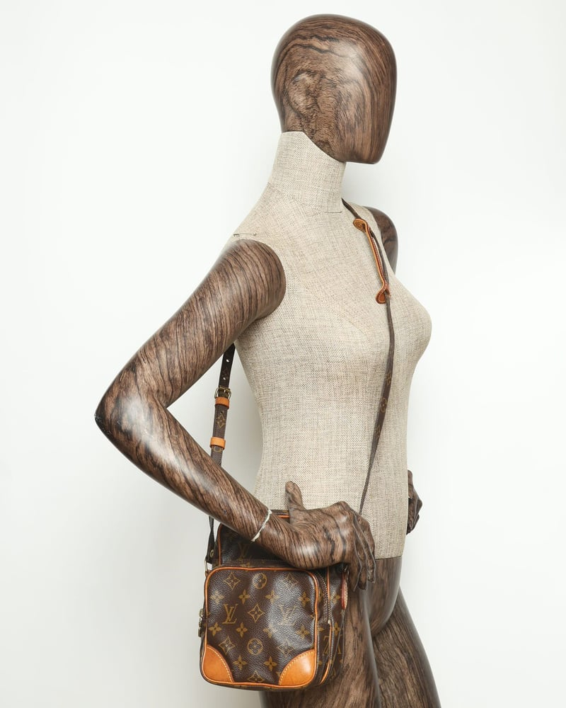 Louis Vuitton Monogram Amazon Bag