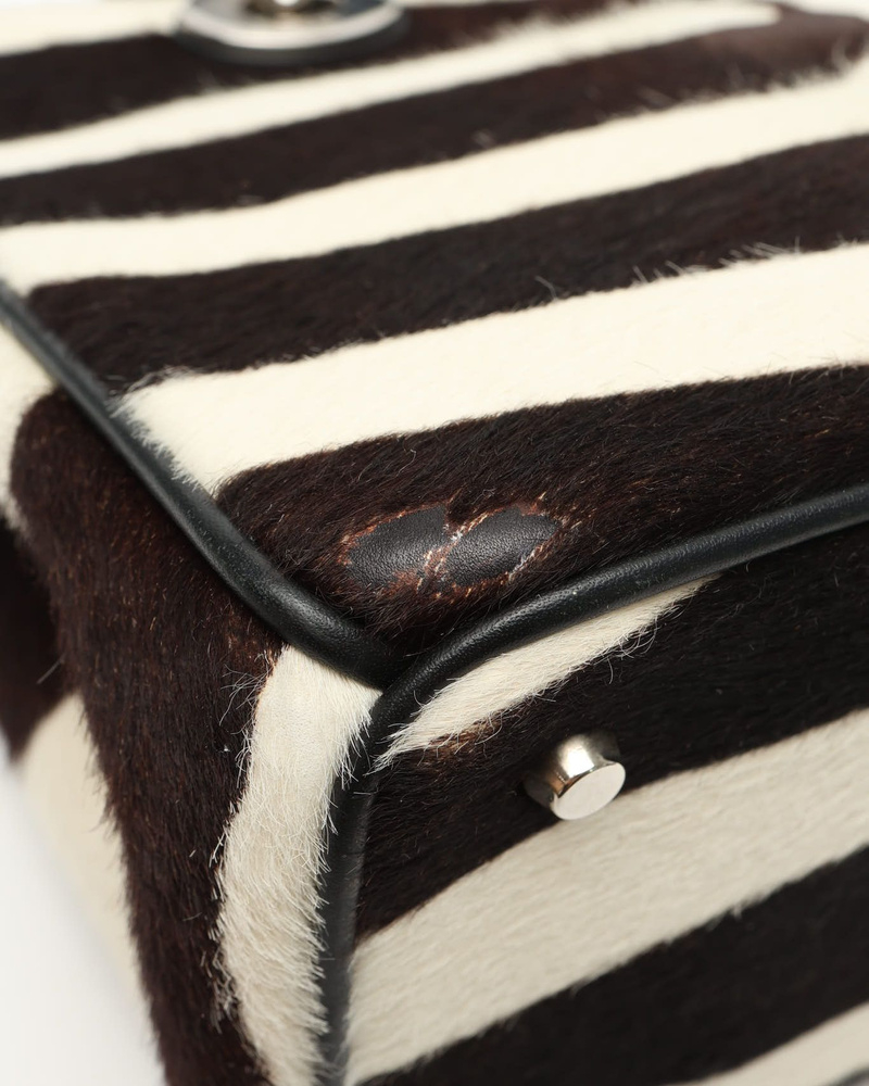 Christian Dior Zebra Lady Dior Bag