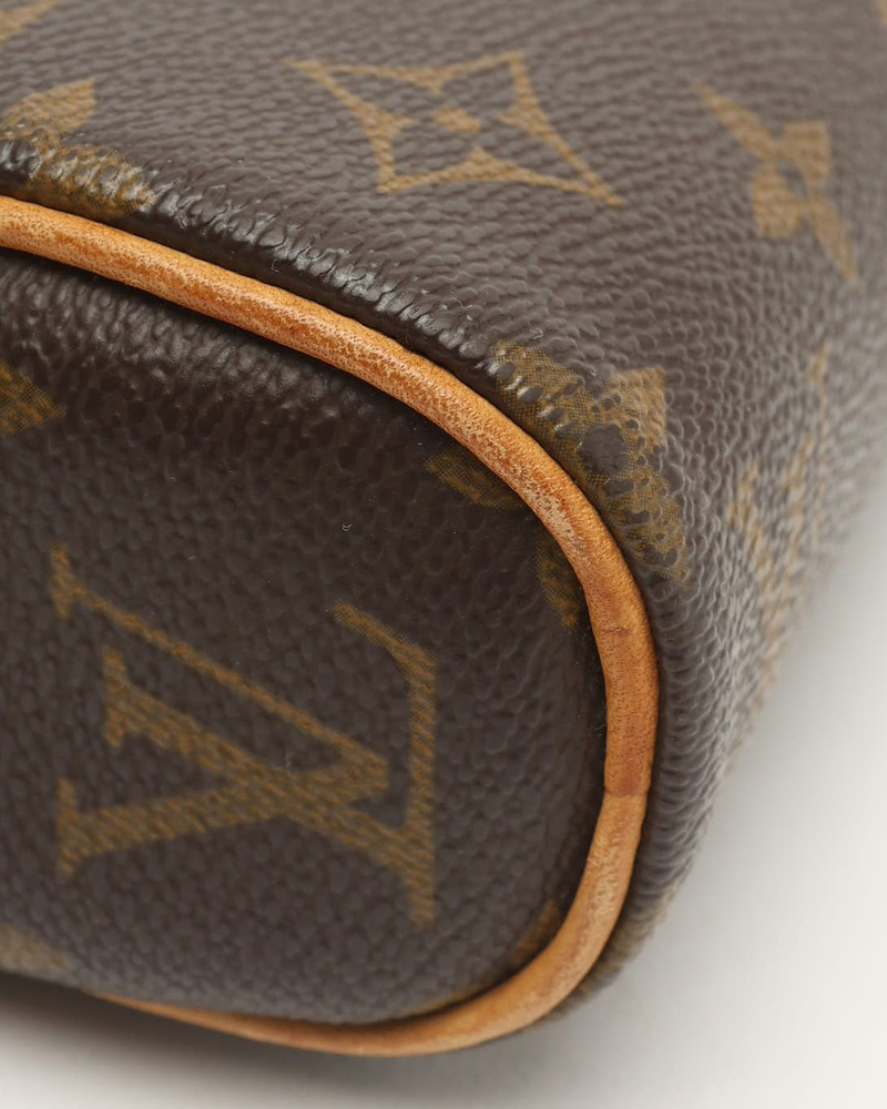 Louis Vuitton Monogram Sonatine Bag