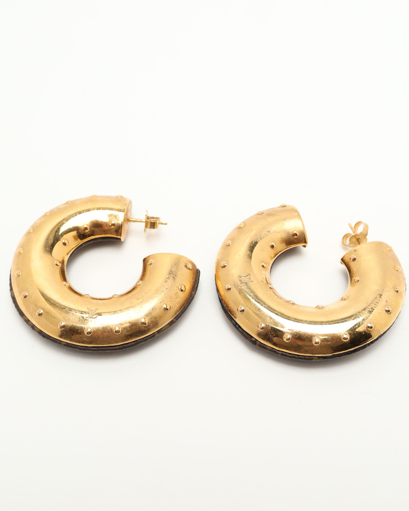 Louis Vuitton Wild lv Earrings