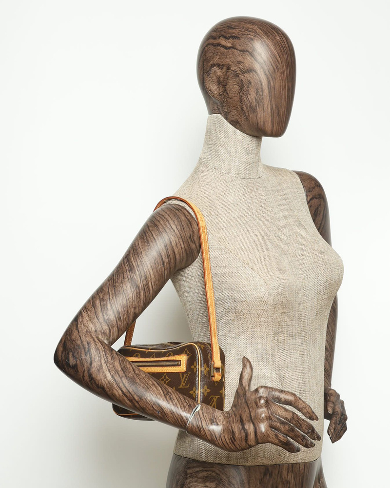 Louis Vuitton Monogram Pochette Cité Bag