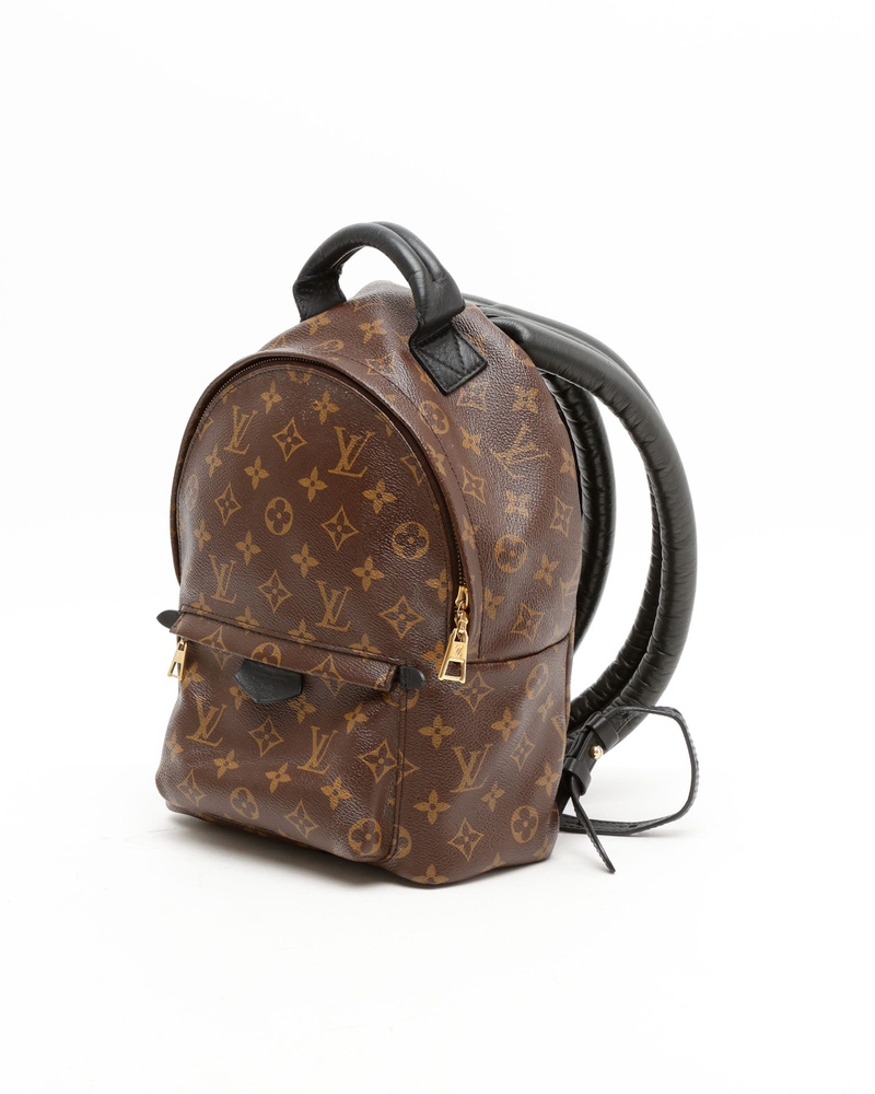 Louis Vuitton Palm Springs PM Backpack