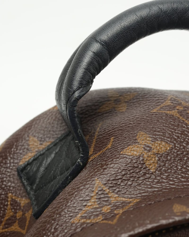 Louis Vuitton Palm Springs PM Backpack