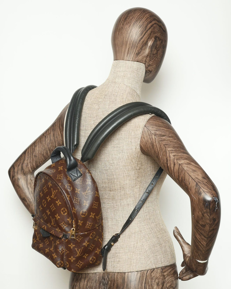 Louis Vuitton Palm Springs PM Backpack