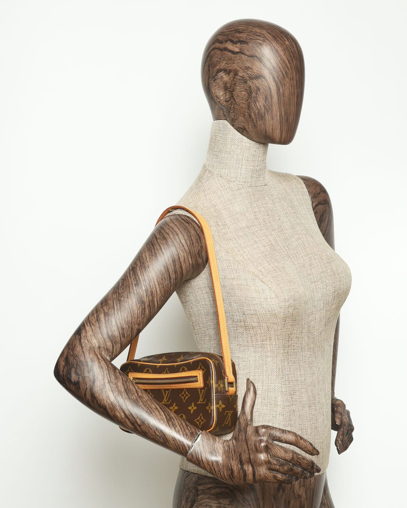 Louis Vuitton Monogram Pochette Cité Bag