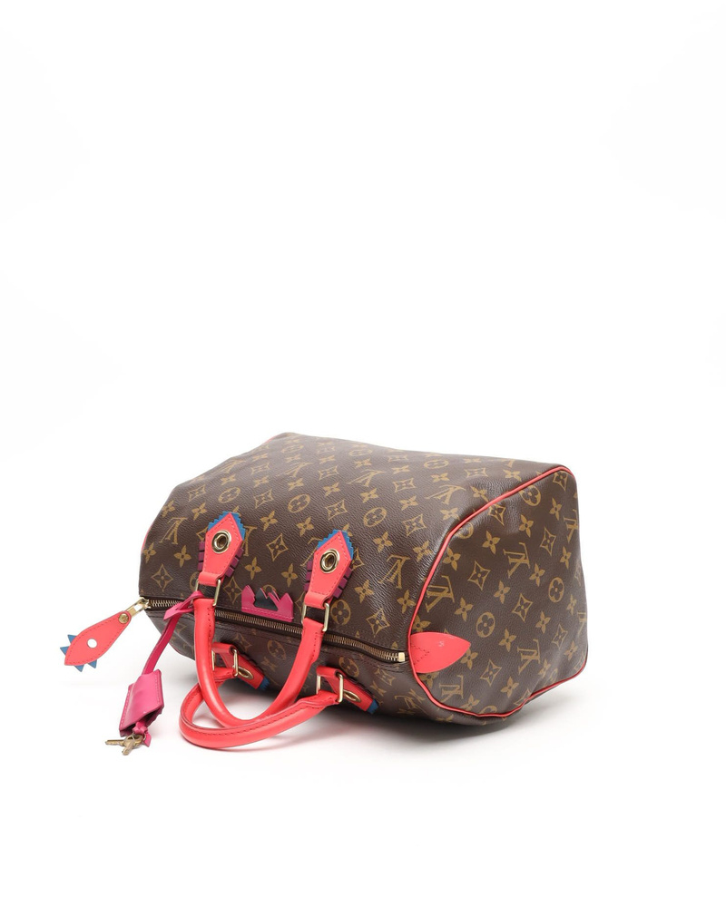 Louis Vuitton Totem Speedy 30 Bag