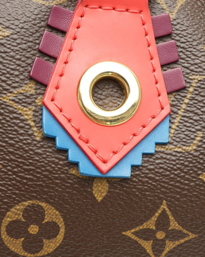 Louis Vuitton Totem Speedy 30 Bag
