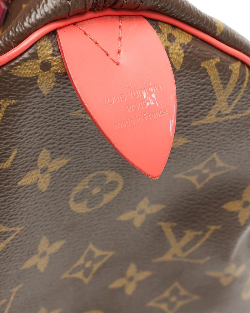 Louis Vuitton Totem Speedy 30 Bag