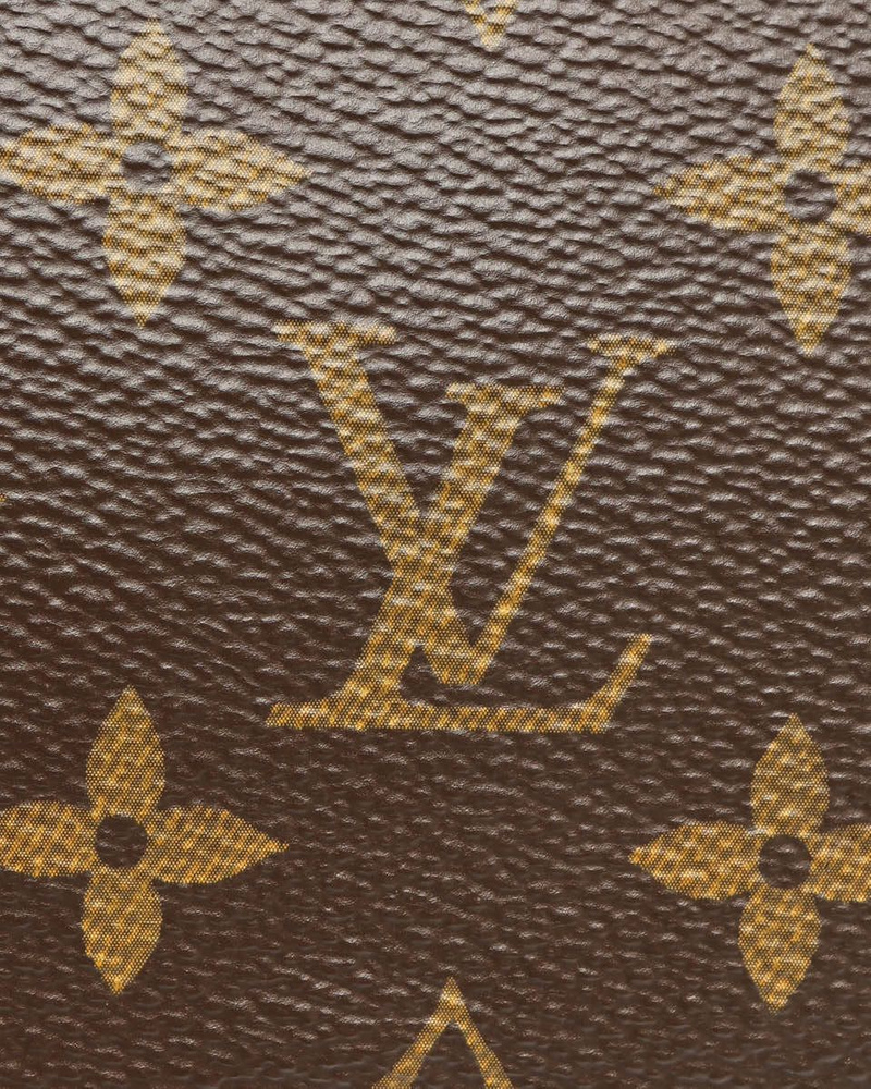 Louis Vuitton Totem Speedy 30 Bag