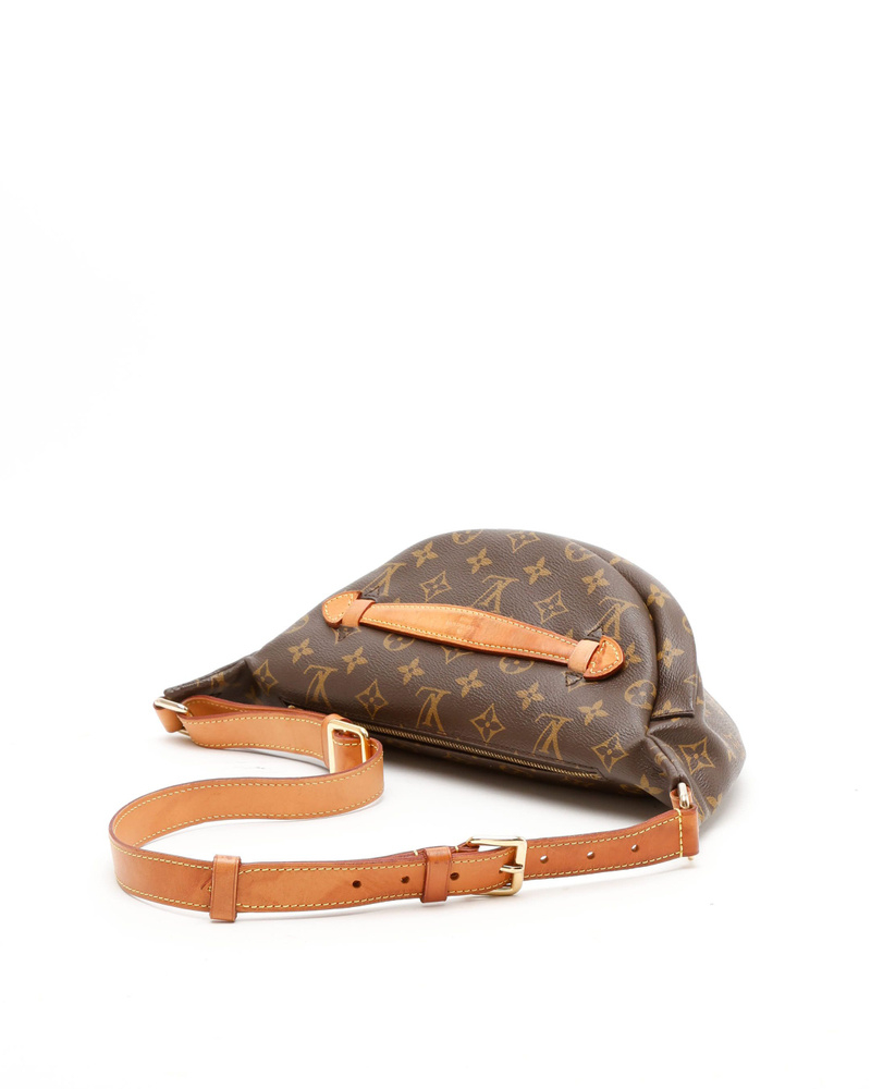 Louis Vuitton Monogram Bumbag