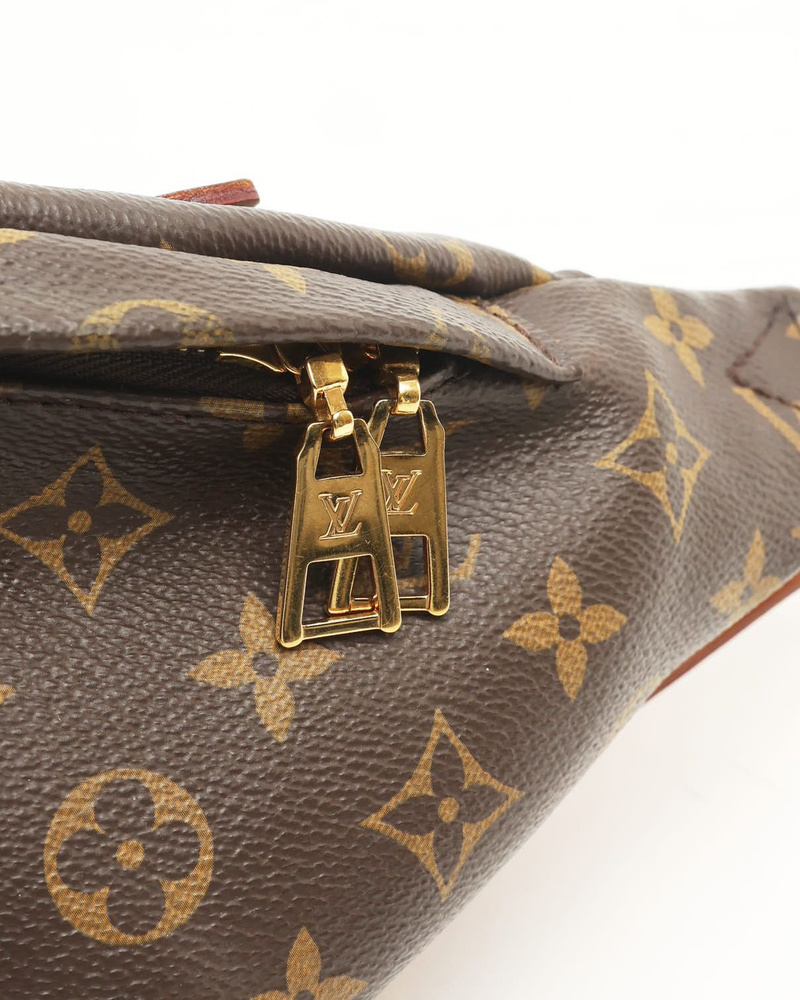 Louis Vuitton Monogram Bumbag