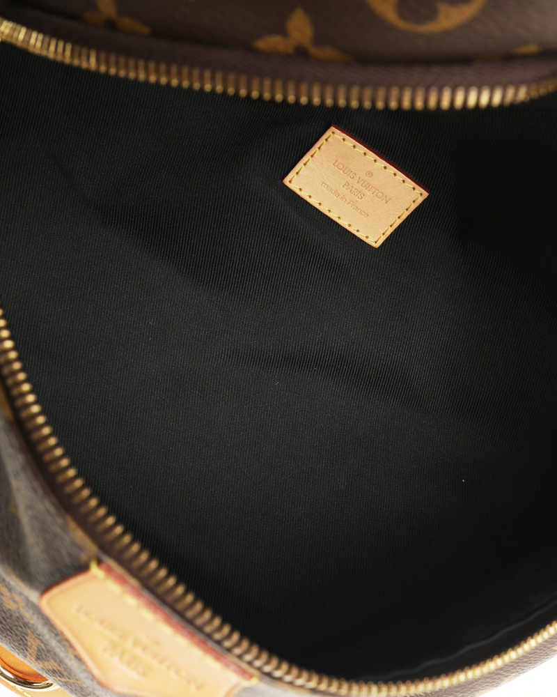 Louis Vuitton Monogram Bumbag