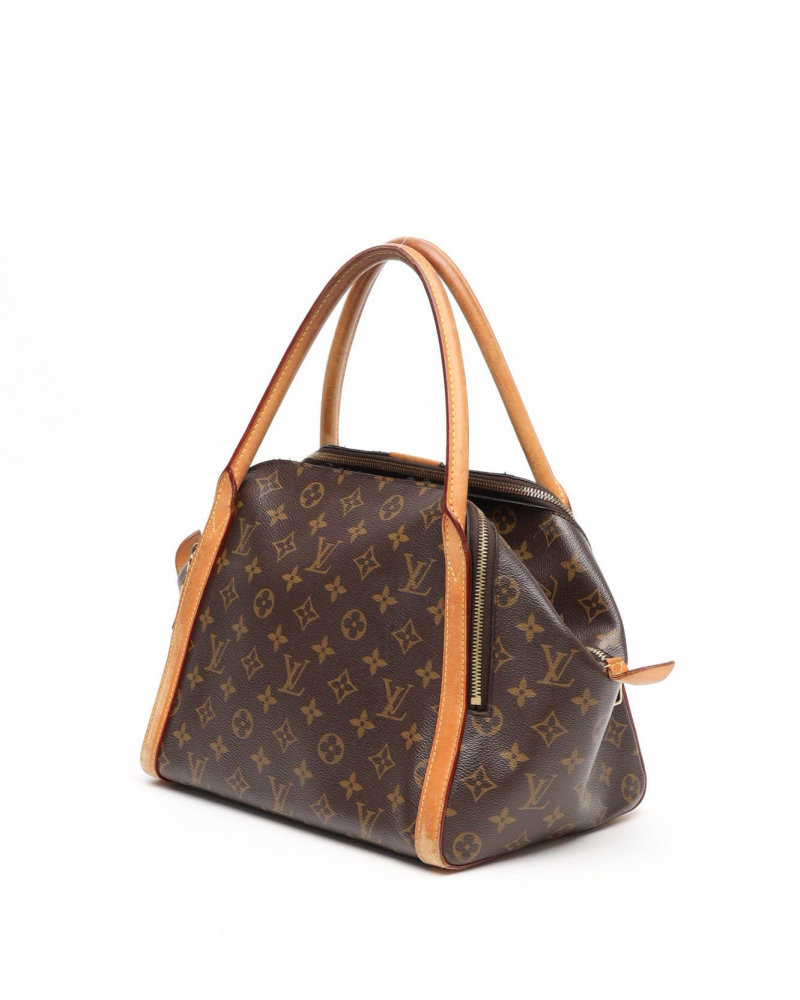 Louis Vuitton Monogram Marais MM Bag