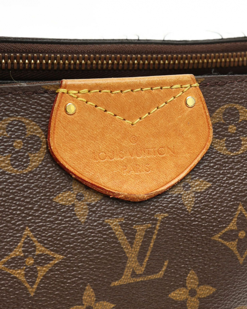 Louis Vuitton Monogram Marais MM Bag