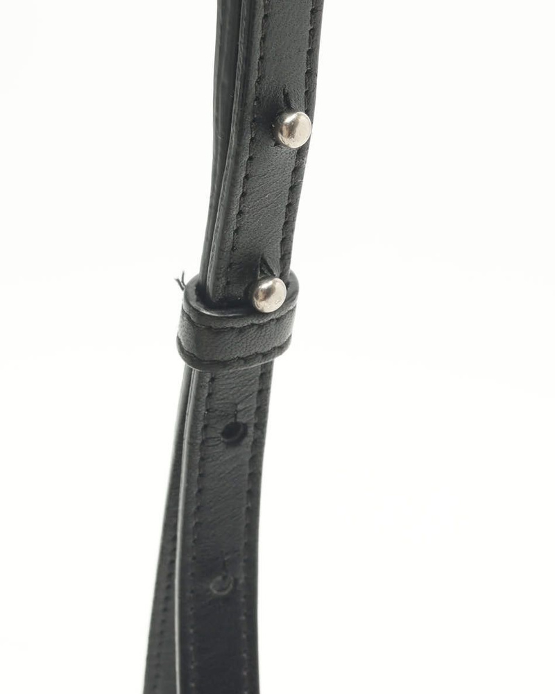 Bottega Veneta Small Cassette Bag