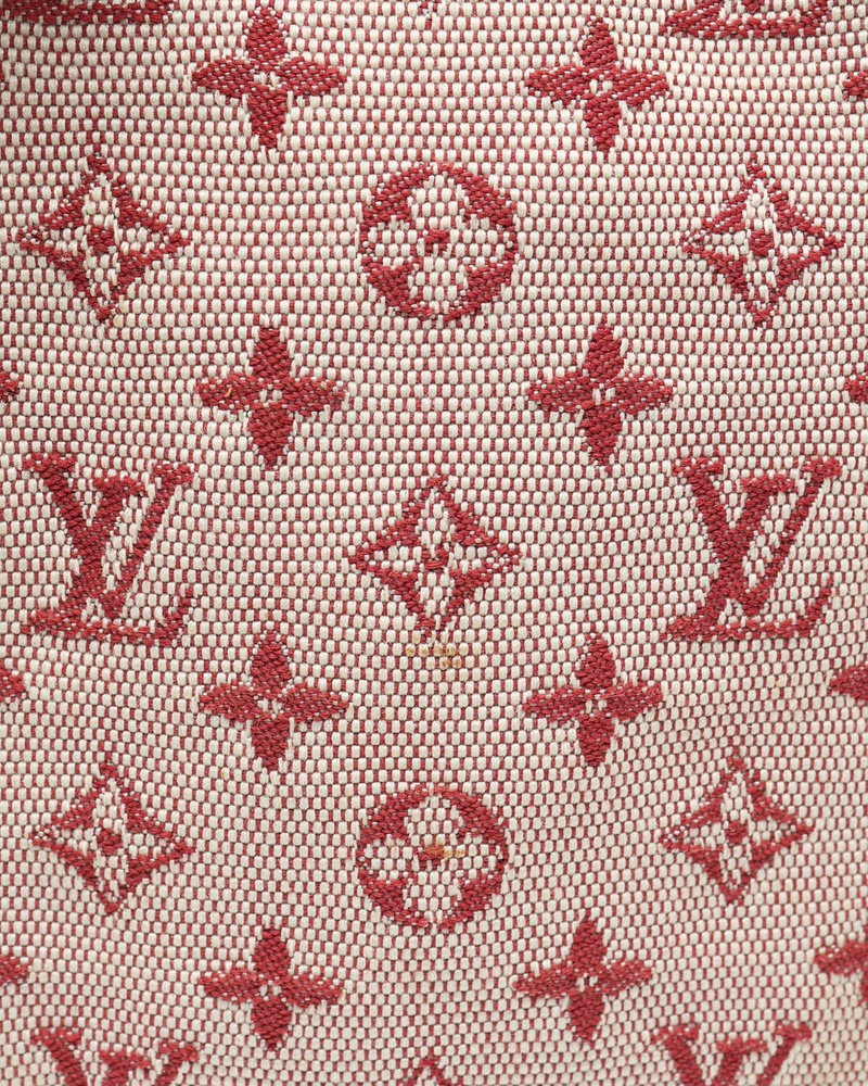 Louis Vuitton Mini Lin Camera Bag