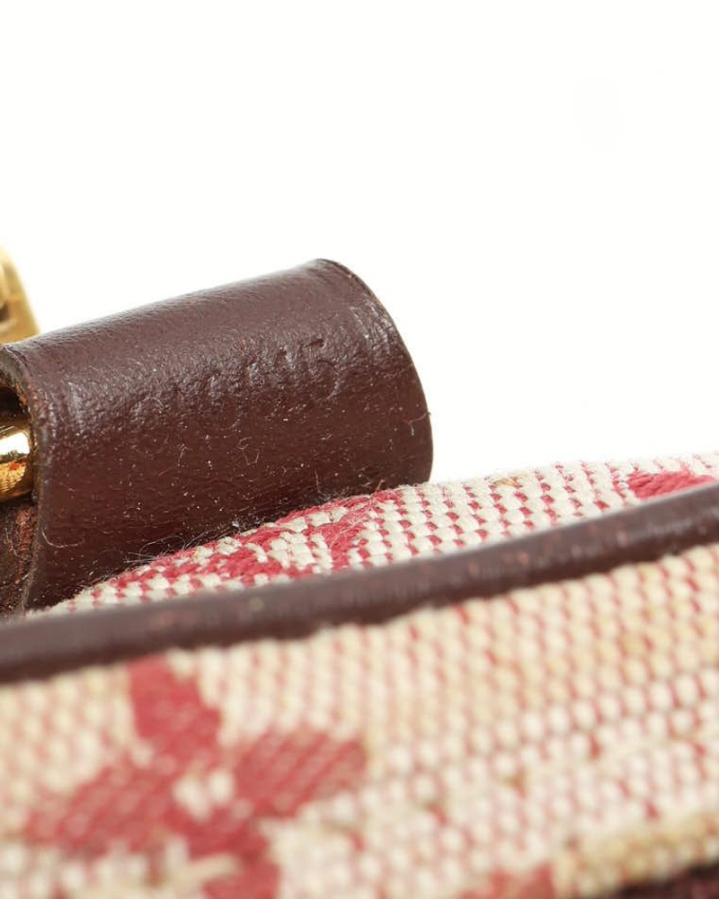 Louis Vuitton Mini Lin Camera Bag