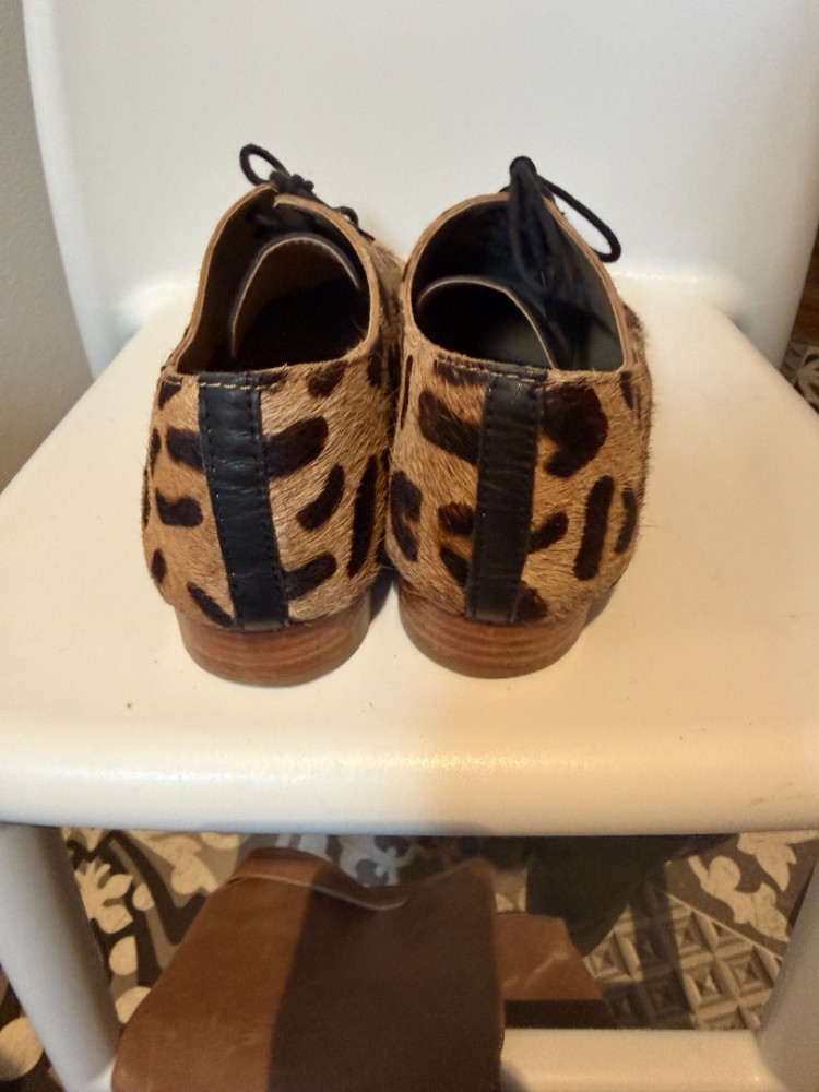 Petite Mendigote Derbies