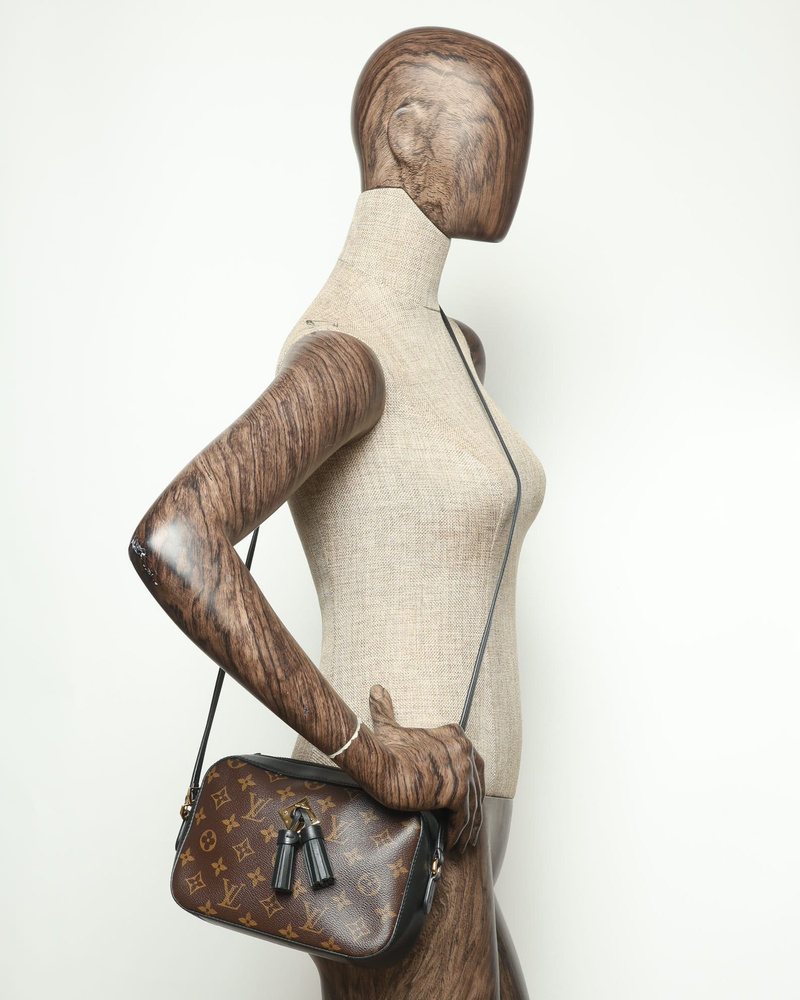 Louis Vuitton Monogram Saintonge Bag