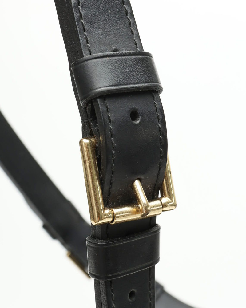 Louis Vuitton EPI Noé GM Bag