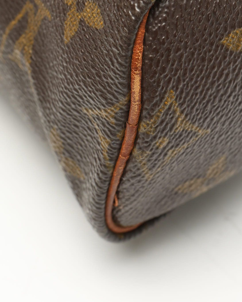 Louis Vuitton Monogram Nano Speedy Bag