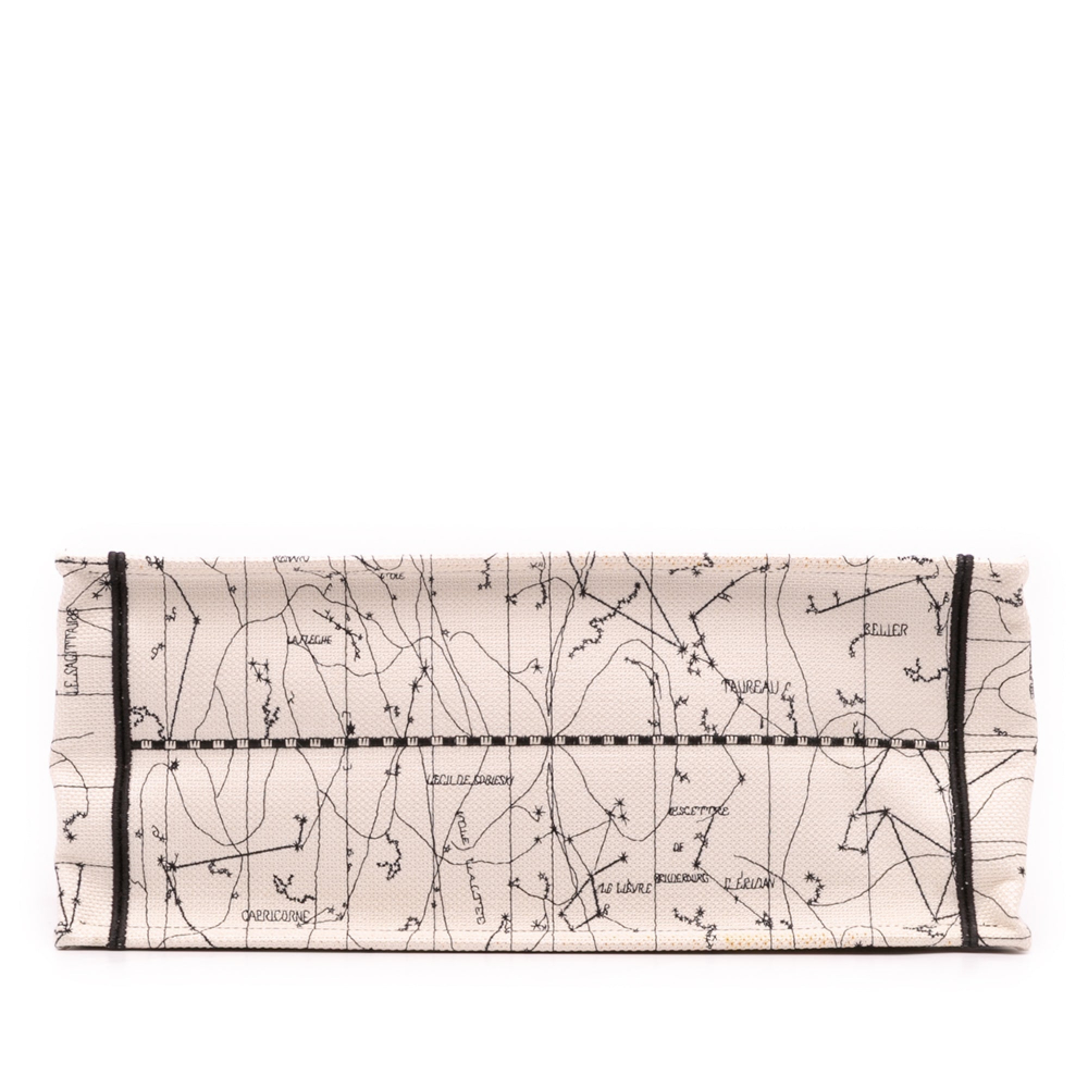 Christian Dior Book Tote Large Embroidery Canvas Handbag Brown