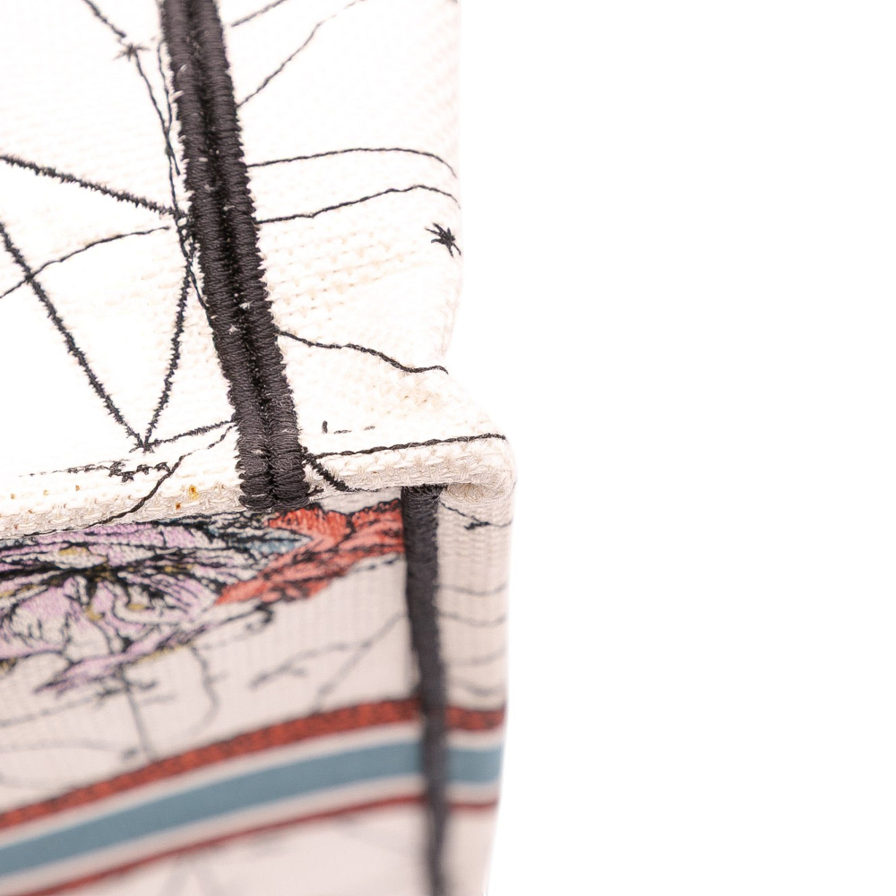 Christian Dior Book Tote Large Embroidery Canvas Handbag Brown