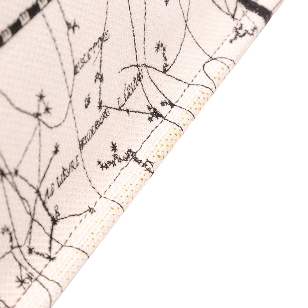 Christian Dior Book Tote Large Embroidery Canvas Handbag Brown