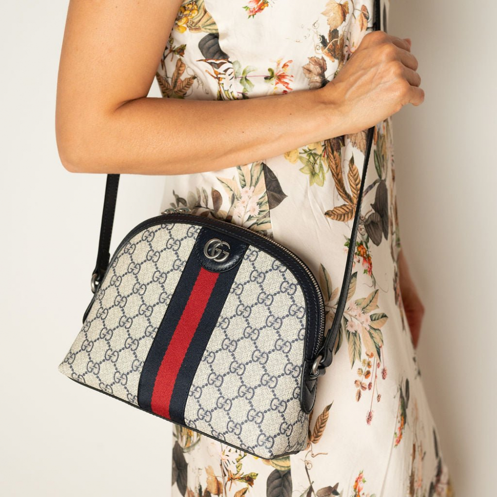 Gucci Ophidia GG Small Canvas Pouch Handbag GG Supreme