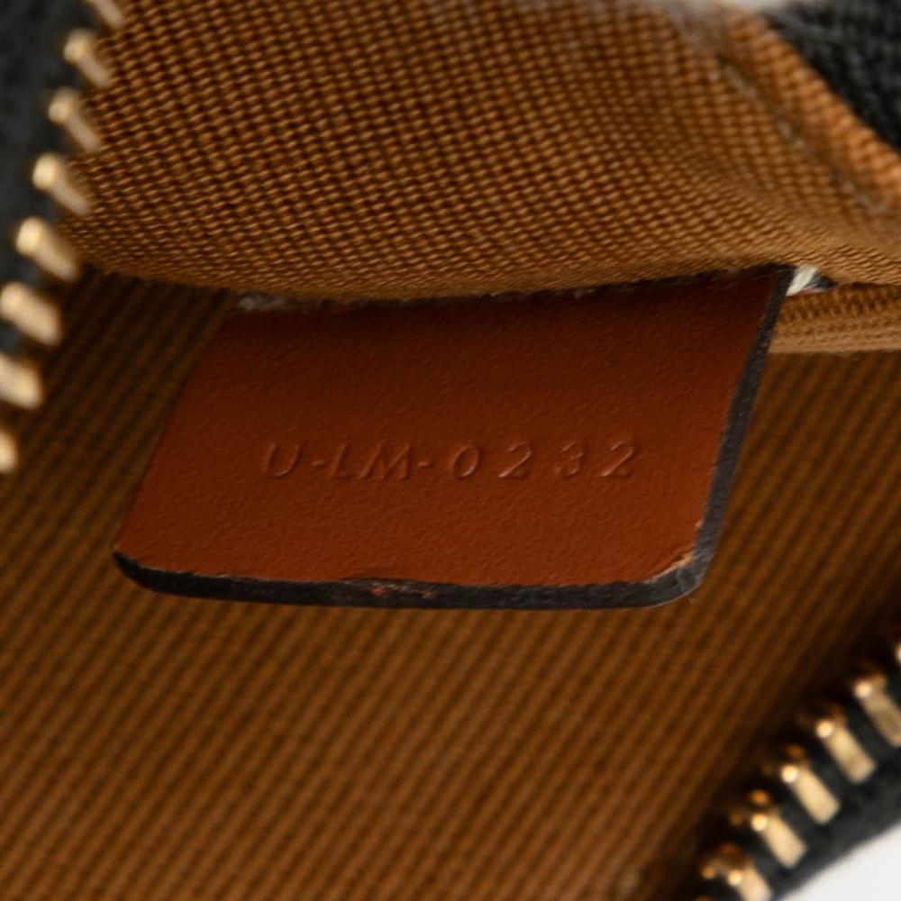 Celine AB Celine Brown Dark Brown Coated Canvas Fabric Mini Triomphe Ava Shoulder Bag Italy