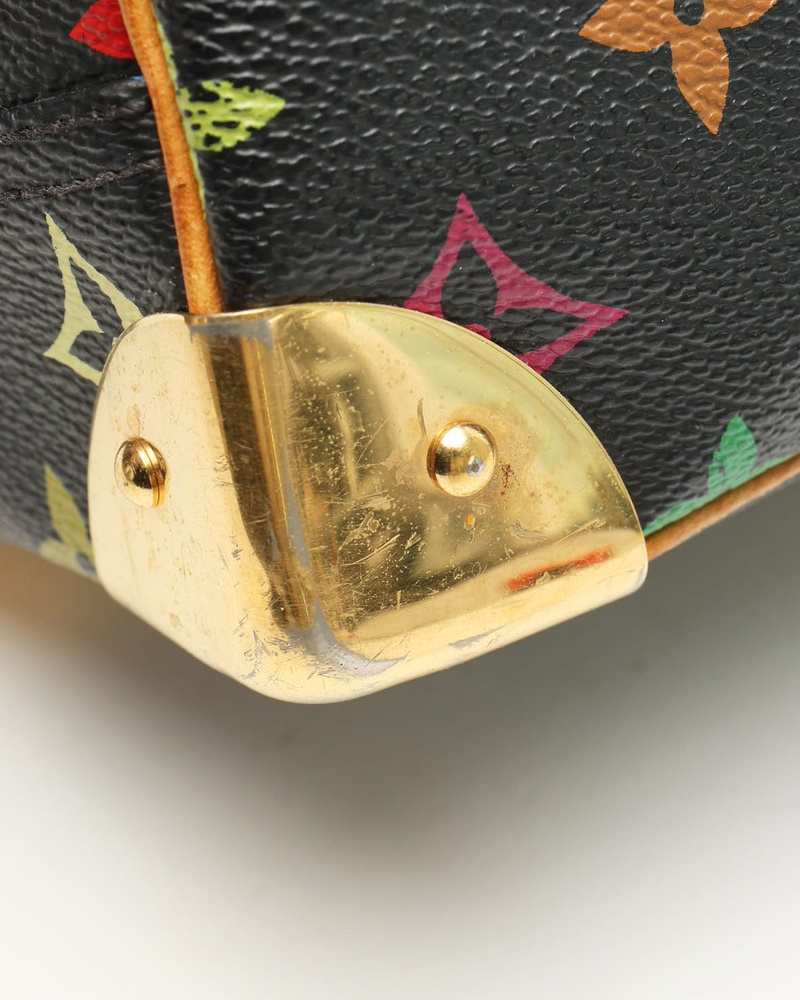 Louis Vuitton Murakami Trouville Bag