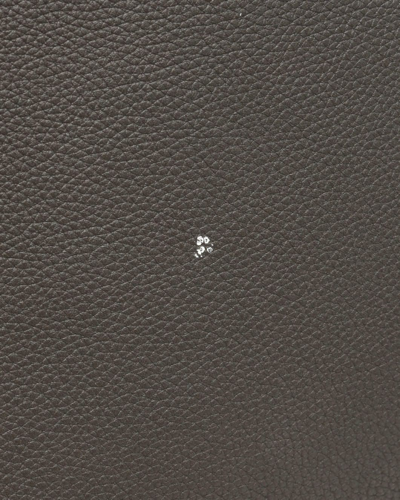 Celine Céline Luggage Phantom Bag