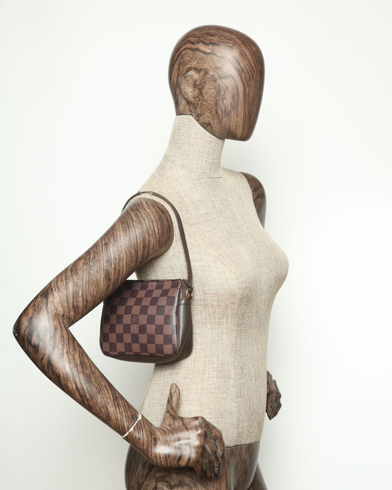 Louis Vuitton Damier Ebene Truth Makeup Bag