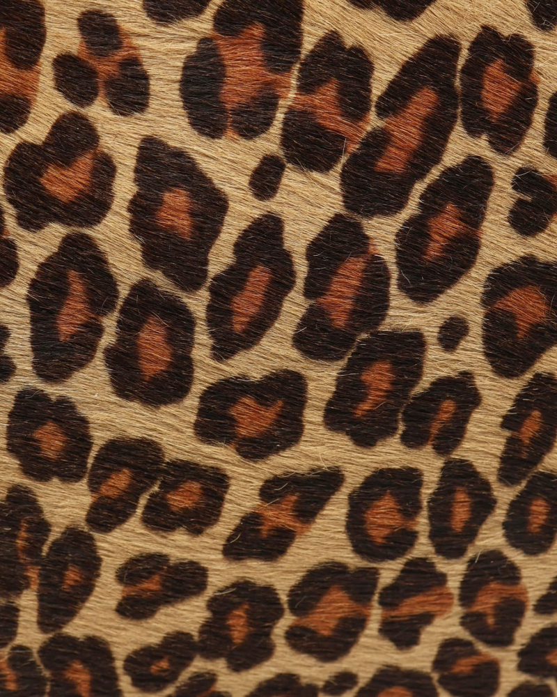 Christian Dior Large Leopard Lady Dior Bag