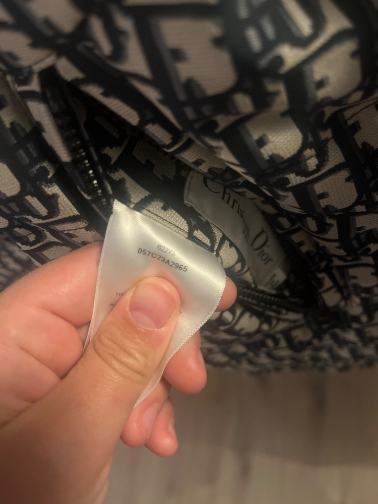 Christian Dior Dior oblique