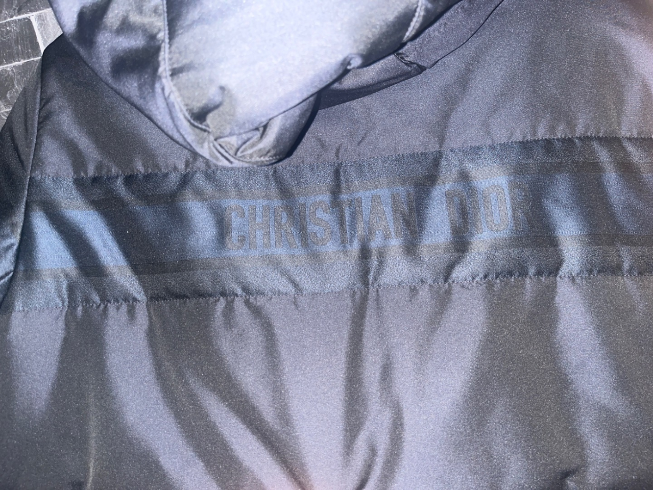 Christian Dior Dior oblique