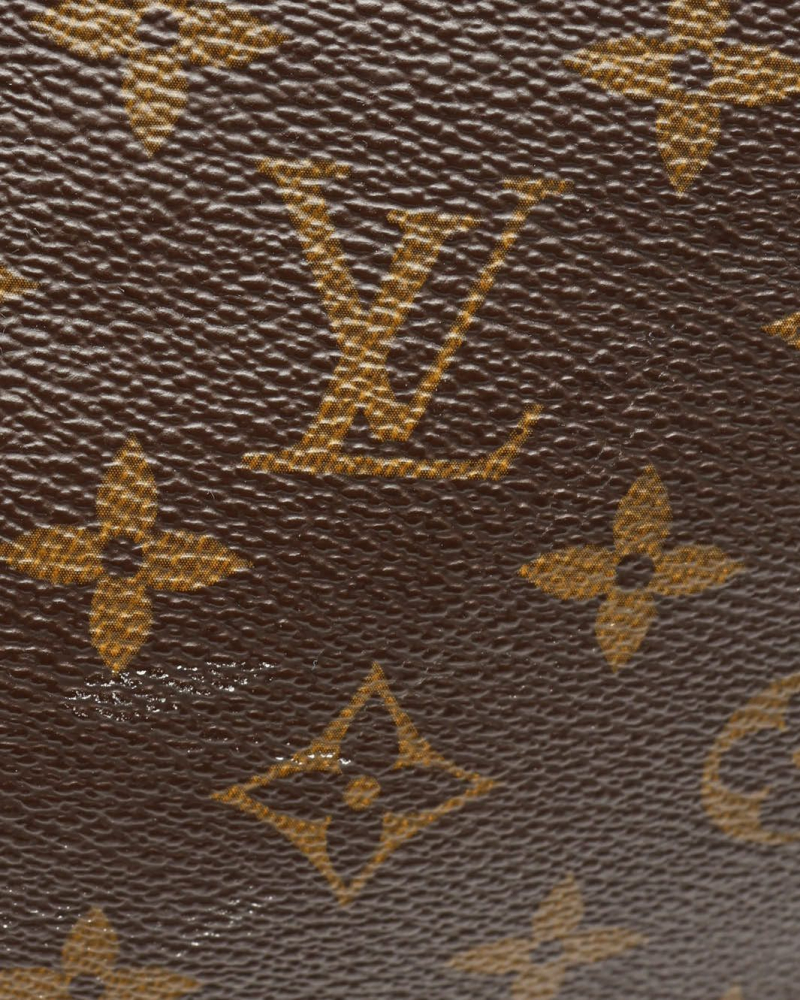 Louis Vuitton Monogram Delightful PM Bag