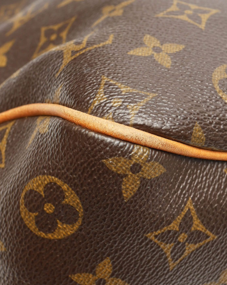 Louis Vuitton Monogram Delightful PM Bag
