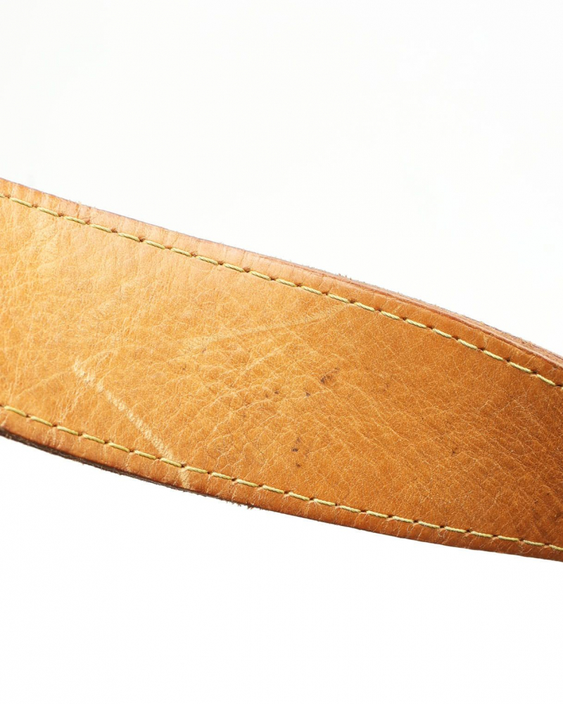 Louis Vuitton Monogram Delightful PM Bag