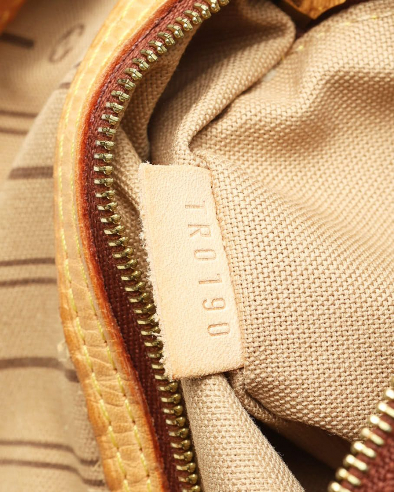 Louis Vuitton Monogram Delightful PM Bag