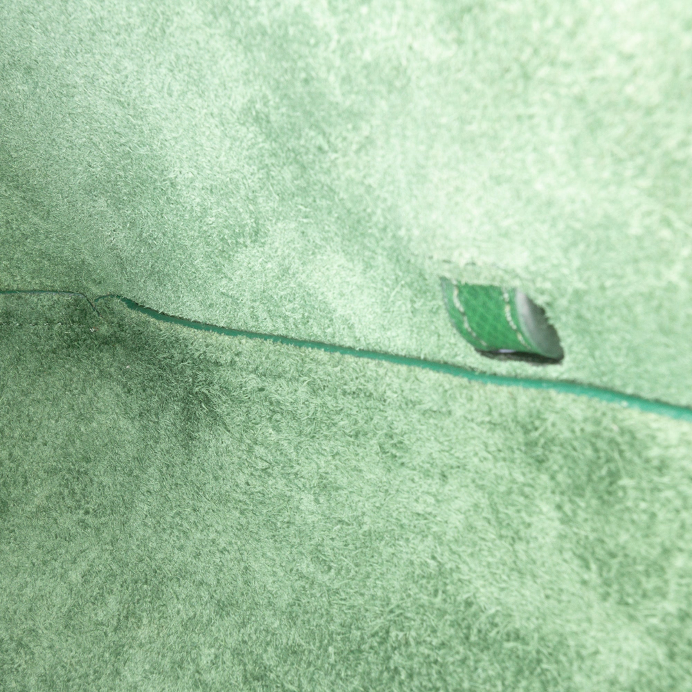 Celine Belt Bag Nano Grained Calfskin Leather Tote Handbag Green