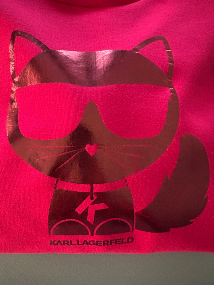 Karl Lagerfeld Cropped Sweatshirt