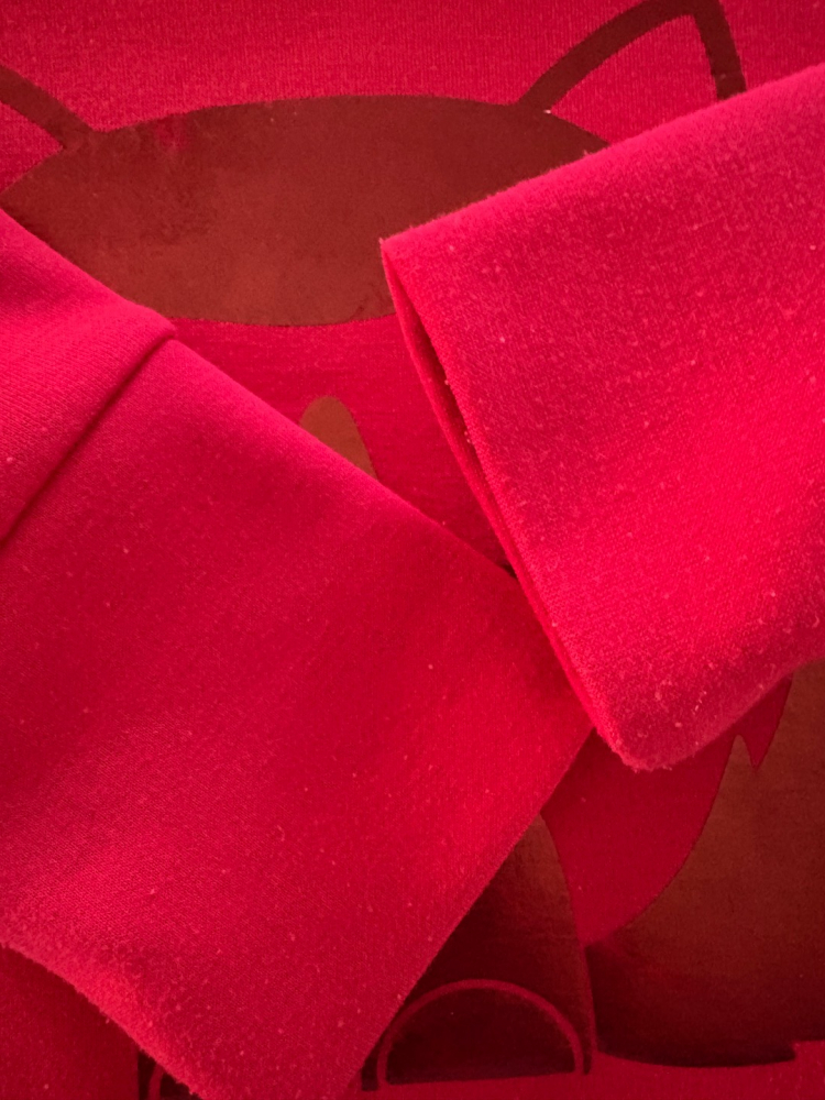 Karl Lagerfeld Cropped Sweatshirt