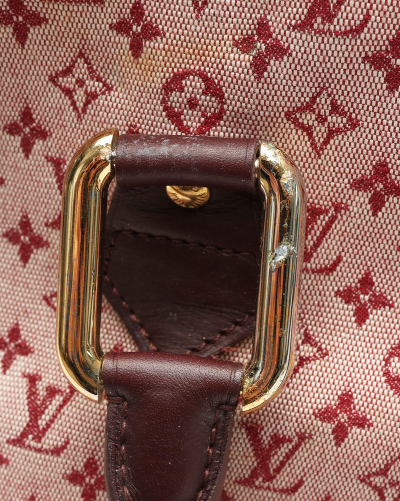 Louis Vuitton Mini Lin Alma Haut Bag