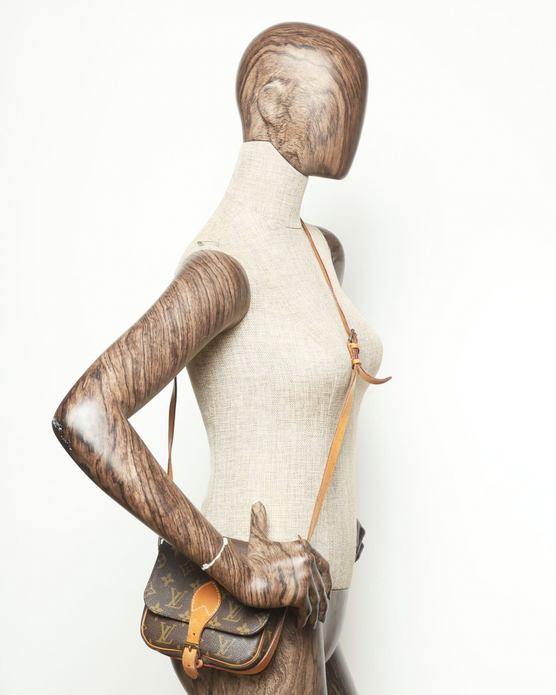 Louis Vuitton Monogram Cartouchiere PM Bag